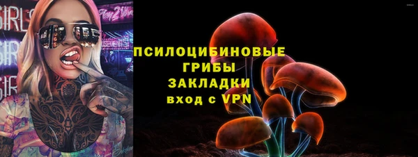 spice Верея