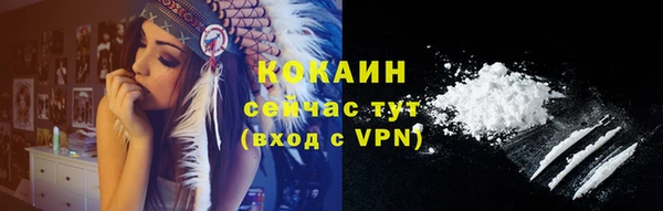 spice Верея