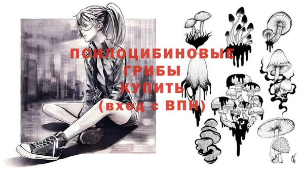 хмурый Верхний Тагил