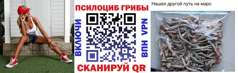 Галлюциногенные грибы мухоморы  Купить  Билибино 